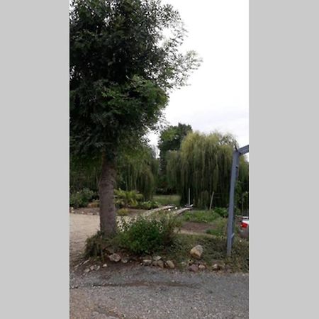 Entre Vignes Et Loire Apartamento Blaison-Saint-Sulpice Exterior foto